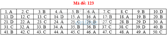 Bài giải gợi ý môn toán thi THPT quốc gia 2019 - đủ 24 mã đề - Ảnh 24. Bài giải gợi ý môn toán thi THPT quốc gia 2019 - đủ 24 mã đề - Ảnh 24.