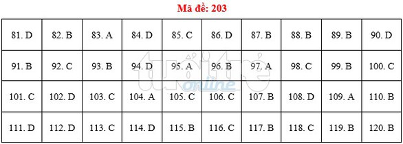 Bài giải gợi ý môn sinh THPT quốc gia 2019 - đủ 24 mã đề - Ảnh 4. Bài giải gợi ý môn sinh THPT quốc gia 2019 - đủ 24 mã đề - Ảnh 4.