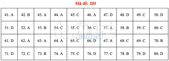 Bài giải gợi ý môn hóa học THPT quốc gia 2019 - đủ 24 mã đề - Ảnh 4. Bài giải gợi ý môn hóa học THPT quốc gia 2019 - đủ 24 mã đề - Ảnh 4.