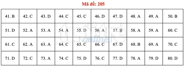 Bài giải gợi ý môn hóa học THPT quốc gia 2019 - đủ 24 mã đề - Ảnh 6. Bài giải gợi ý môn hóa học THPT quốc gia 2019 - đủ 24 mã đề - Ảnh 6.