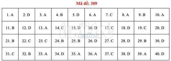 Bài giải gợi ý môn lịch sử THPT quốc gia 2019 - đủ 24 mã đề - Ảnh 10. Bài giải gợi ý môn lịch sử THPT quốc gia 2019 - đủ 24 mã đề - Ảnh 10.