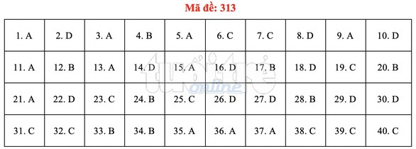 Bài giải gợi ý môn lịch sử THPT quốc gia 2019 - đủ 24 mã đề - Ảnh 14. Bài giải gợi ý môn lịch sử THPT quốc gia 2019 - đủ 24 mã đề - Ảnh 14.