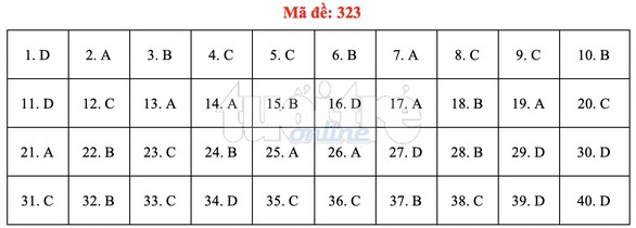 Bài giải gợi ý môn lịch sử THPT quốc gia 2019 - đủ 24 mã đề - Ảnh 24. Bài giải gợi ý môn lịch sử THPT quốc gia 2019 - đủ 24 mã đề - Ảnh 24.
