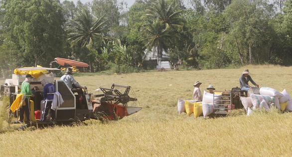 Nuôi trồng ở ĐBSCL: Thuận thiên thôi, chưa đủ! - Ảnh 1. Nuôi trồng ở ĐBSCL: Thuận thiên thôi, chưa đủ! - Ảnh 1.