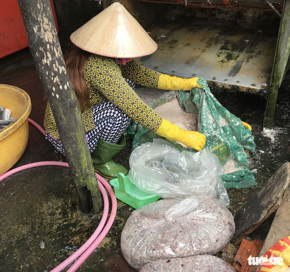 Bất thường thương lái tranh giành mua vảy cá ở miền Tây - Ảnh 1. Bất thường thương lái tranh giành mua vảy cá ở miền Tây - Ảnh 1.