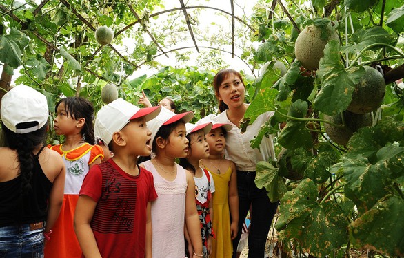 Thầy cô, cha mẹ cuốc đất trồng rau, khoai lang, bí đỏ... đủ cho cả trường - Ảnh 1. Thầy cô, cha mẹ cuốc đất trồng rau, khoai lang, bí đỏ... đủ cho cả trường - Ảnh 1.