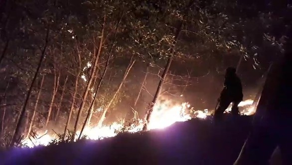 150 ha rừng keo cháy ngùn ngụt, quân dân Quảng Nam trắng đêm dập lửa - Ảnh 1. 150 ha rừng keo cháy ngùn ngụt, quân dân Quảng Nam trắng đêm dập lửa - Ảnh 1.