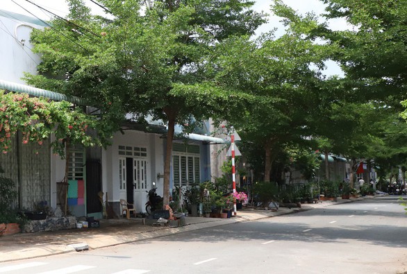 Nhà phố RichHome 3 có gì hấp dẫn? - Ảnh 3. Nhà phố RichHome 3 có gì hấp dẫn? - Ảnh 3.