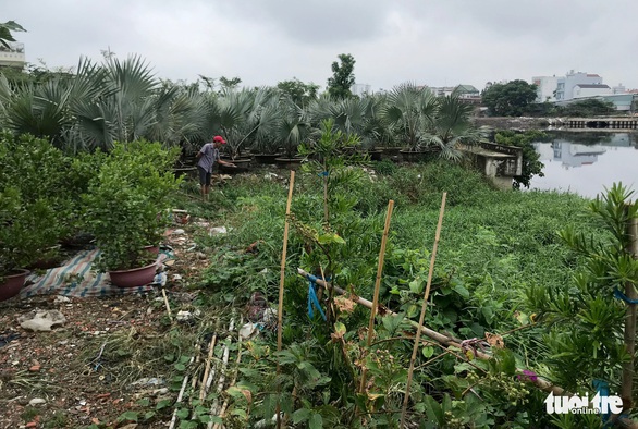 Cho dân trồng tạm cây dọc kênh Tham Lương để ngăn xả rác, tệ nạn - Ảnh 2. Cho dân trồng tạm cây dọc kênh Tham Lương để ngăn xả rác, tệ nạn - Ảnh 2.