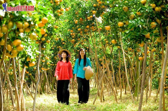 Khuyến mãi chùm tour du lịch trong nước hot nhất mùa hè - Ảnh 7. Khuyến mãi chùm tour du lịch trong nước hot nhất mùa hè - Ảnh 7.
