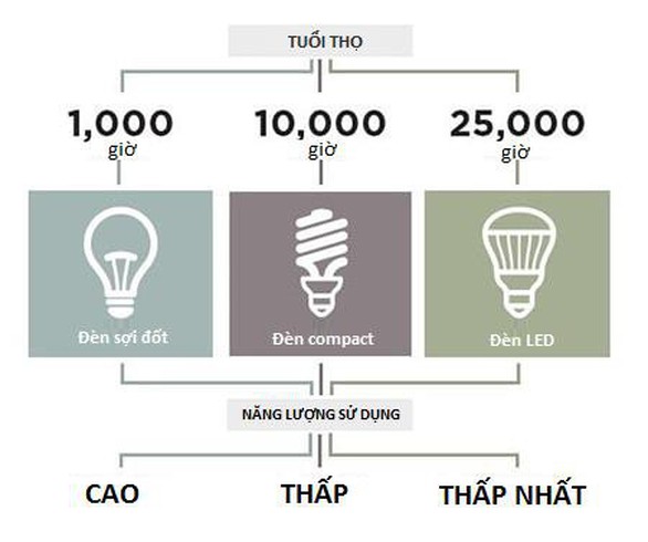 Xanh hóa ngôi nhà để sống khỏe mạnh hơn - Ảnh 2. Xanh hóa ngôi nhà để sống khỏe mạnh hơn - Ảnh 2.