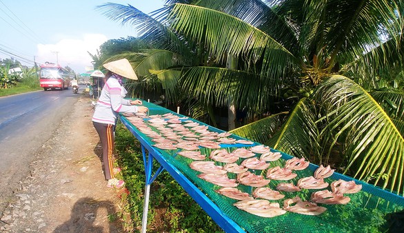Cá lóc phơi khô trên đường về Hồng Ngự - Ảnh 2. Cá lóc phơi khô trên đường về Hồng Ngự - Ảnh 2.
