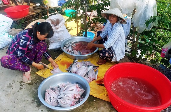 Cá lóc phơi khô trên đường về Hồng Ngự - Ảnh 3. Cá lóc phơi khô trên đường về Hồng Ngự - Ảnh 3.