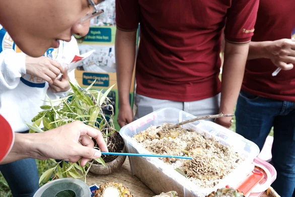 Lạ lẫm và thích thú với sâu canxi, VR tại ngày hội tư vấn xét tuyển - Ảnh 5. Lạ lẫm và thích thú với sâu canxi, VR tại ngày hội tư vấn xét tuyển - Ảnh 5.