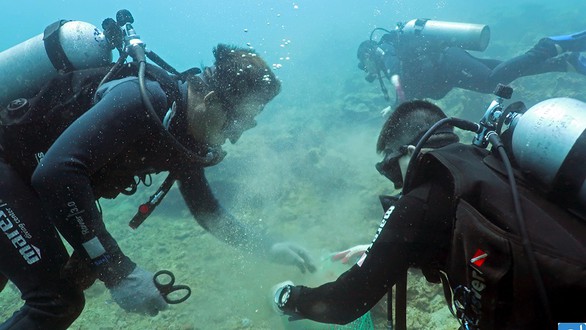Rác biển Nha Trang, một người gom, ngàn người xả - Ảnh 1. Rác biển Nha Trang, một người gom, ngàn người xả - Ảnh 1.