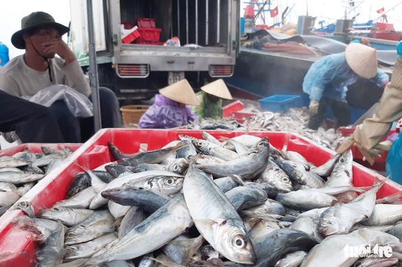 Ngư dân hối hả vào bờ tránh bão số 2 - Ảnh 7. Ngư dân hối hả vào bờ tránh bão số 2 - Ảnh 7.