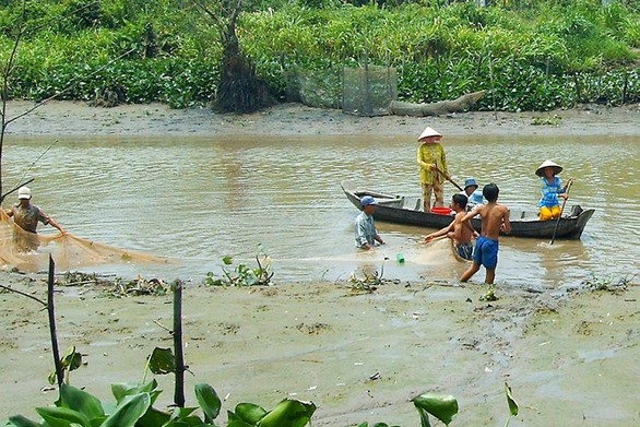 Chang chang - món ngon bổ rẻ thời bão giá - Ảnh 2. Chang chang - món ngon bổ rẻ thời bão giá - Ảnh 2.