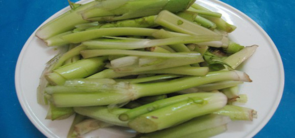 Anh thấy em nhỏ xíu anh thương - Ảnh 2. Anh thấy em nhỏ xíu anh thương - Ảnh 2.