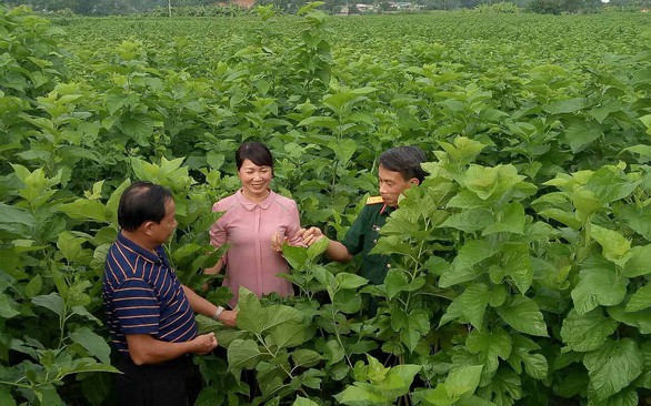 Nữ bí thư đi cuốc đất với dân - Ảnh 2. Nữ bí thư đi cuốc đất với dân - Ảnh 2.