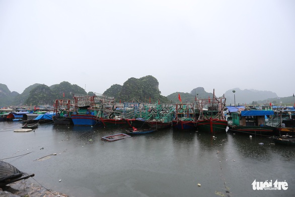 Đảm bảo an toàn cho hầm lò khai thác vì hoàn lưu bão số 3 gây mưa lớn - Ảnh 8. Đảm bảo an toàn cho hầm lò khai thác vì hoàn lưu bão số 3 gây mưa lớn - Ảnh 8.
