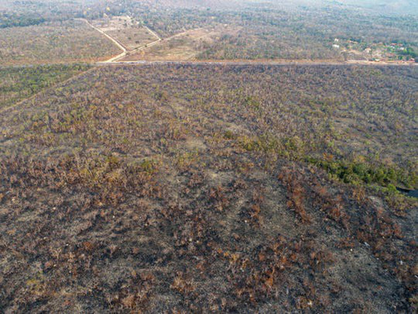 9.500 vụ cháy 1 tuần, rừng Amazon lá phổi Trái đất biến dạng khủng khiếp - Ảnh 3.