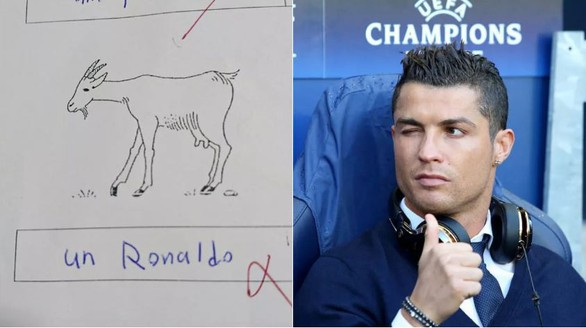 Thi rớt vì chú thích ảnh con dê là... Cristiano Ronaldo - Ảnh 1. Thi rớt vì chú thích ảnh con dê là... Cristiano Ronaldo - Ảnh 1.