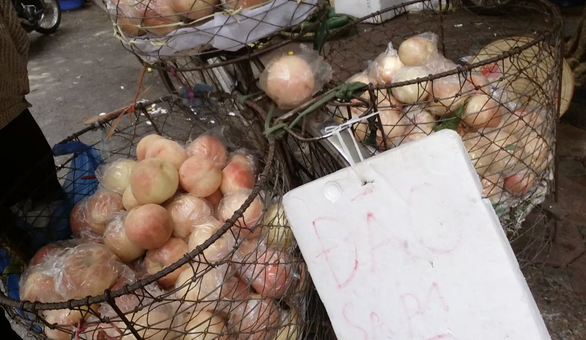 Đào Sa Pa to mọng bán đầy đường thực ra là đào gì? - Ảnh 3. Đào Sa Pa to mọng bán đầy đường thực ra là đào gì? - Ảnh 3.