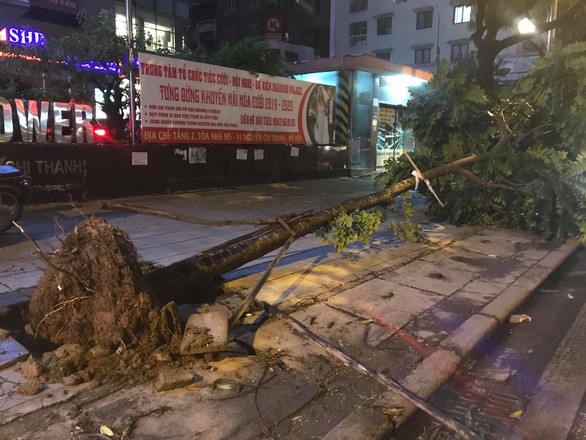 Cây đổ la liệt trên đường phố Hà Nội, 1 người chết, 1 người bị thương - Ảnh 4. Cây đổ la liệt trên đường phố Hà Nội, 1 người chết, 1 người bị thương - Ảnh 4.
