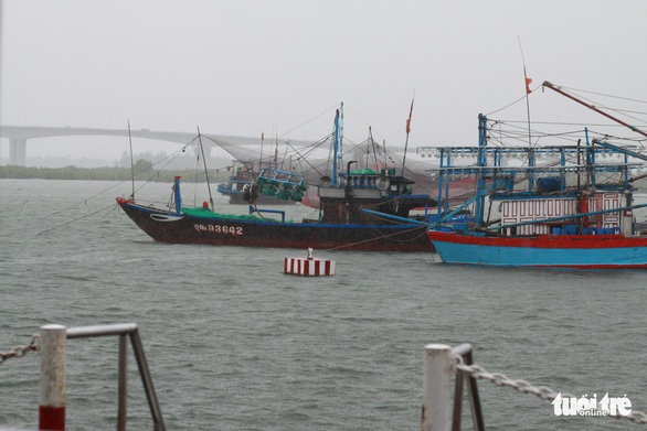 Dừng hoạt động tàu ra vào Cù Lao Chàm, đưa 125 người vào bờ - Ảnh 6. Dừng hoạt động tàu ra vào Cù Lao Chàm, đưa 125 người vào bờ - Ảnh 6.