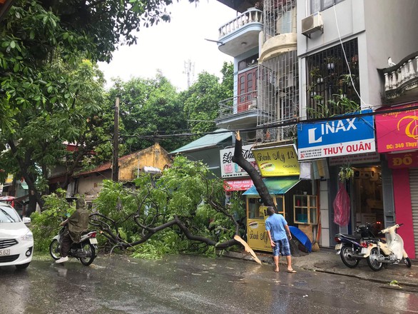 Hà Nội phố phường mênh mông nước, cây xanh đổ la liệt - Ảnh 5. Hà Nội phố phường mênh mông nước, cây xanh đổ la liệt - Ảnh 5.