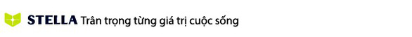 Thay đổi tên gọi của Công ty TNHH liên doanh STADA-Việt Nam - Ảnh 4.