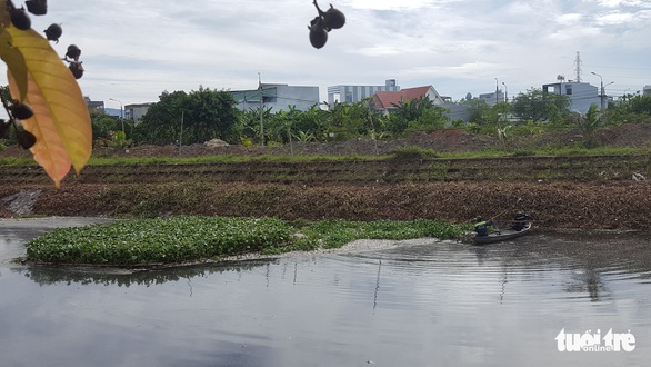 Cá chết trắng hàng tấn trên hồ Hòa Phú, Đà Nẵng - Ảnh 2. Cá chết trắng hàng tấn trên hồ Hòa Phú, Đà Nẵng - Ảnh 2.