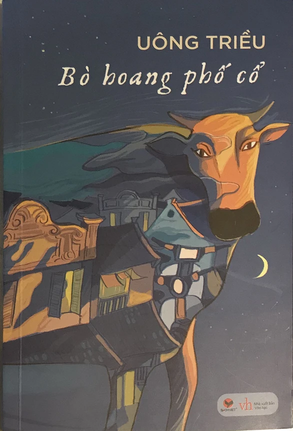 Bò hoang phố cổ: lịch sử đồng hiện - Ảnh 1. Bò hoang phố cổ: lịch sử đồng hiện - Ảnh 1.