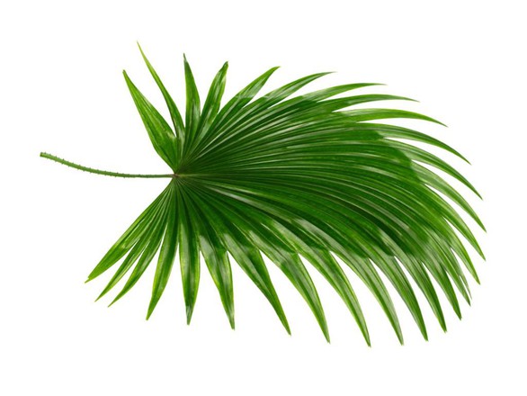 Phì đại lành tính tuyến tiền liệt, đừng coi thường - Ảnh 3. Phì đại lành tính tuyến tiền liệt, đừng coi thường - Ảnh 3.