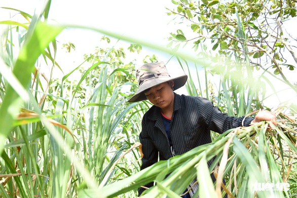 Đến trường với bộ đồng phục cũ của anh trai - Ảnh 1. Đến trường với bộ đồng phục cũ của anh trai - Ảnh 1.