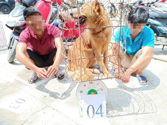 Ăn thịt gà, bò, heo cũng không tốt đẹp hơn so với ăn thịt chó - Ảnh 1. Ăn thịt gà, bò, heo cũng không tốt đẹp hơn so với ăn thịt chó - Ảnh 1.