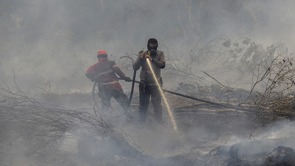 Cháy rừng: Indonesia mất bò 2 lần mới lo làm chuồng? - Ảnh 1. Cháy rừng: Indonesia mất bò 2 lần mới lo làm chuồng? - Ảnh 1.
