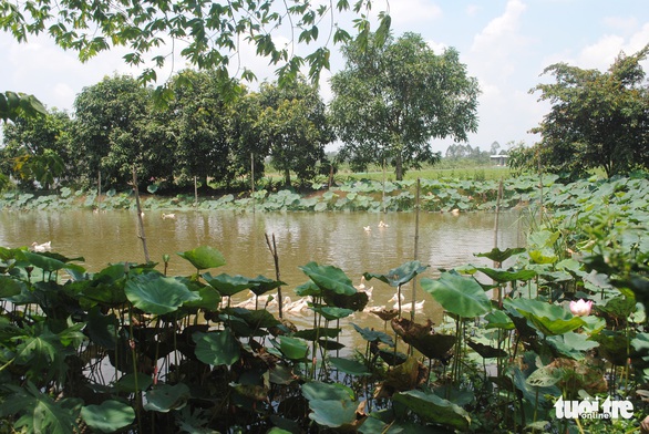 Quê nhà Lai Vung tiếc thương đại tá phi công Nguyễn Văn Bảy - Ảnh 7. Quê nhà Lai Vung tiếc thương đại tá phi công Nguyễn Văn Bảy - Ảnh 7.