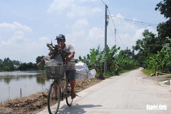 Quê nhà Lai Vung tiếc thương đại tá phi công Nguyễn Văn Bảy - Ảnh 1. Quê nhà Lai Vung tiếc thương đại tá phi công Nguyễn Văn Bảy - Ảnh 1.