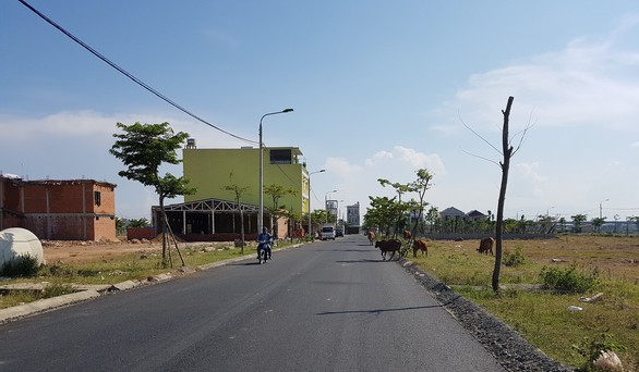Đà Nẵng lần đầu tiên công khai quỹ đất - Ảnh 1. Đà Nẵng lần đầu tiên công khai quỹ đất - Ảnh 1.