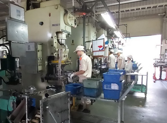 Vì sao doanh nghiệp Việt không lớn được? - Ảnh 1. Vì sao doanh nghiệp Việt không lớn được? - Ảnh 1.