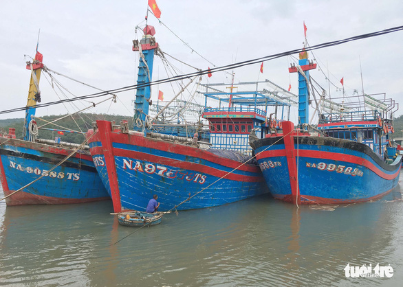 Tàu nằm bờ sau bão, ngư dân lại thấp thỏm lo áp thấp dồn dập - Ảnh 2. Tàu nằm bờ sau bão, ngư dân lại thấp thỏm lo áp thấp dồn dập - Ảnh 2.