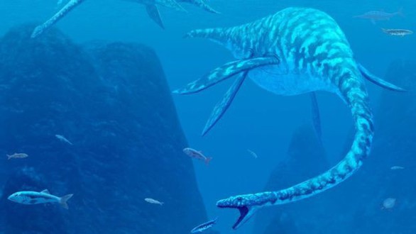 Quái vật Hồ Loch Ness là một con lươn khổng ồ? - Ảnh 2. Quái vật Hồ Loch Ness là một con lươn khổng ồ? - Ảnh 2.