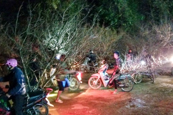Phu đào biên viễn - Ảnh 3. Phu đào biên viễn - Ảnh 3.