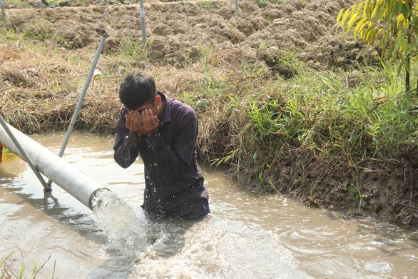 Nước mặn bao trùm toàn tỉnh, Bến Tre ban bố tình huống khẩn cấp - Ảnh 2. Nước mặn bao trùm toàn tỉnh, Bến Tre ban bố tình huống khẩn cấp - Ảnh 2.