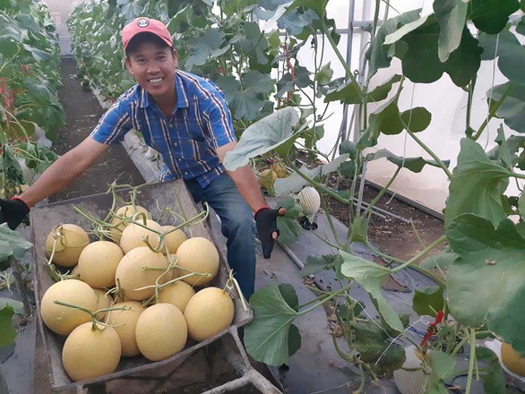 Những nhà nông trẻ bung hàng vụ tết - Ảnh 2. Những nhà nông trẻ bung hàng vụ tết - Ảnh 2.