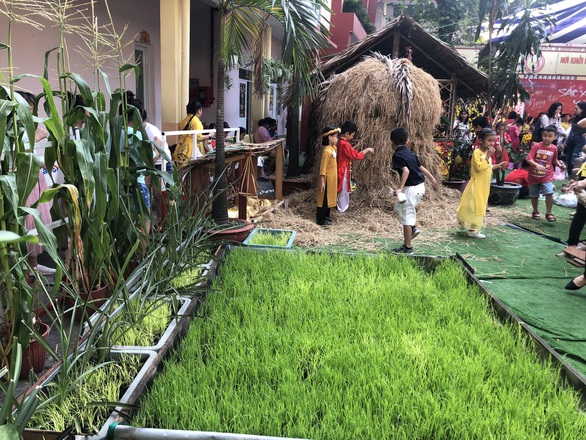 Cánh đồng quê giữa trường tiểu học trung tâm TP.HCM - Ảnh 1. Cánh đồng quê giữa trường tiểu học trung tâm TP.HCM - Ảnh 1.
