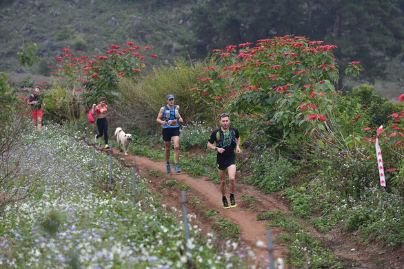 Chú chó 2 tuổi chinh phục cự ly 42km giải marathon tại Mộc Châu - Ảnh 1.