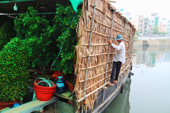 Mai, quất miền Tây vừa cập bến Bình Đông đã có người mua - Ảnh 12. Mai, quất miền Tây vừa cập bến Bình Đông đã có người mua - Ảnh 12.