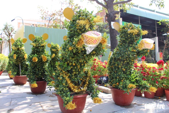 Quất bonsai tạo hình chuột đắt như tôm tươi - Ảnh 4. Quất bonsai tạo hình chuột đắt như tôm tươi - Ảnh 4.